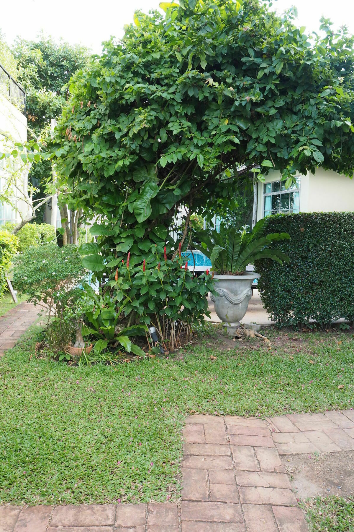 Cabine De Plage Na Chom Thian Exterior photo